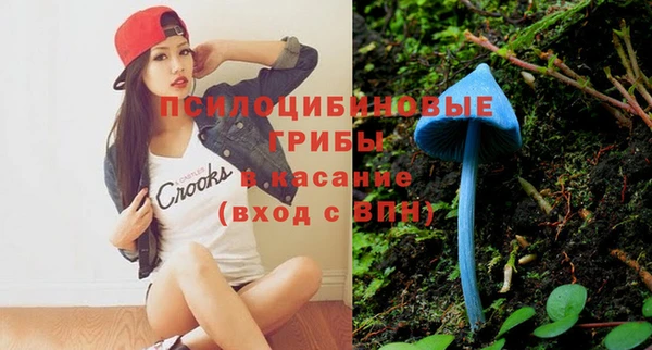 MESCALINE Алзамай