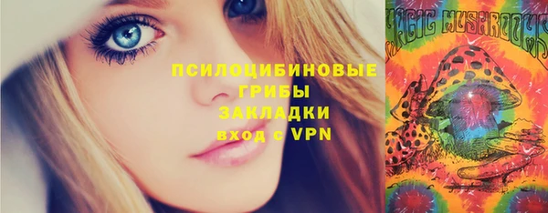 ГАЛЛЮЦИНОГЕННЫЕ ГРИБЫ Алексин